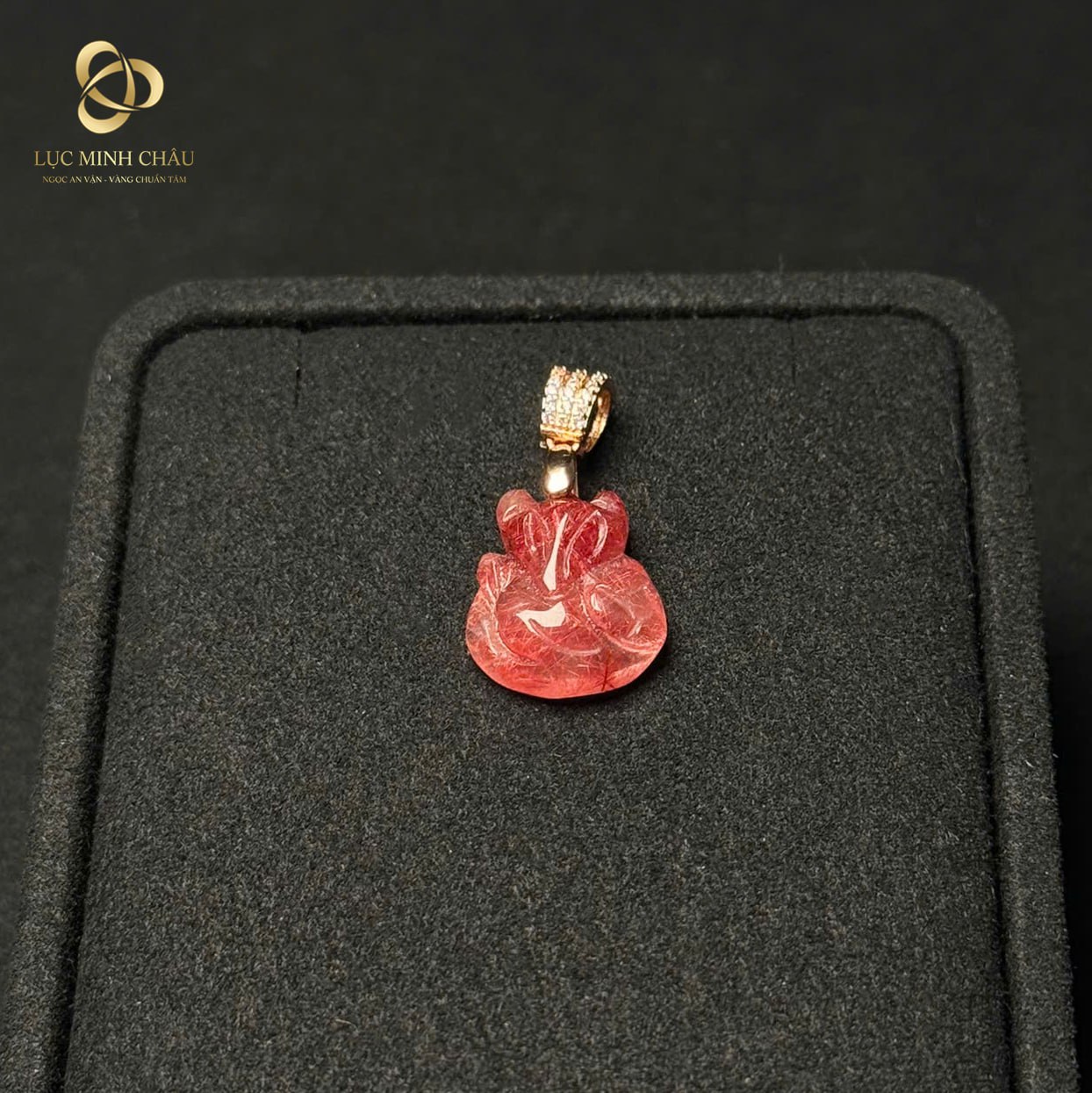 photo_2026-01-31_09-05-39