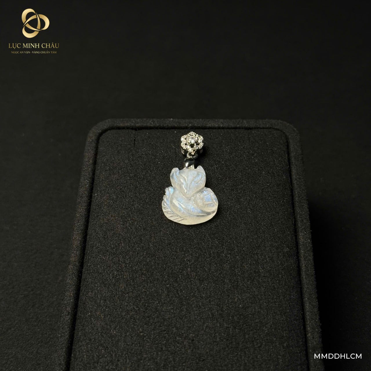 photo_2026-01-31_09-26-44