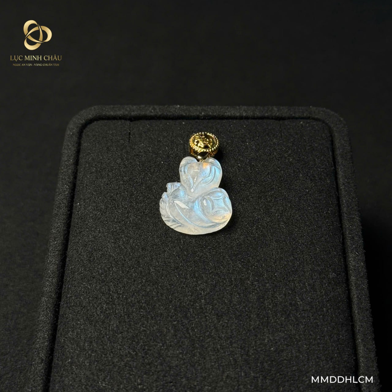 photo_2026-01-31_09-26-47