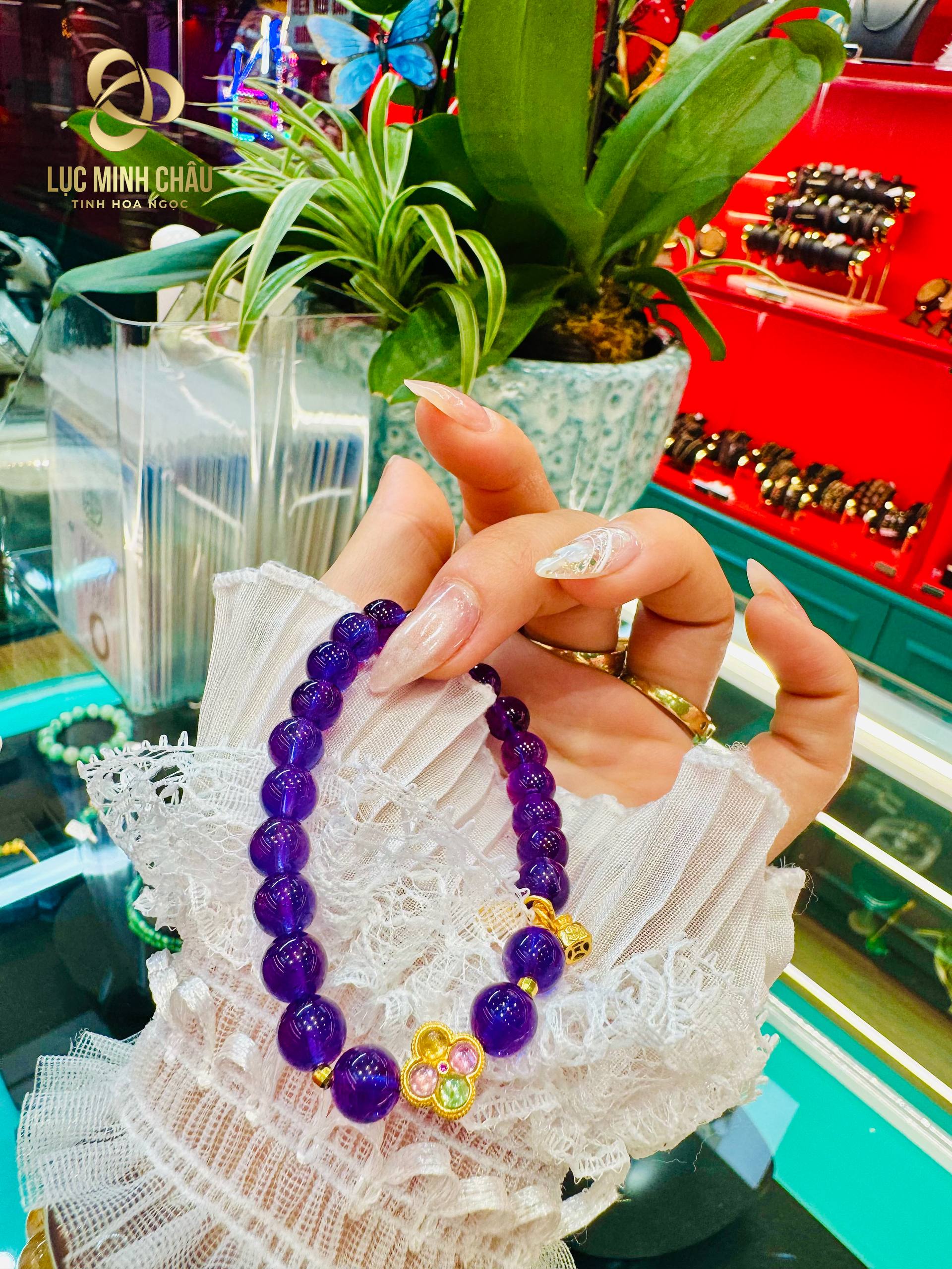 photo_2026-02-04_23-48-48