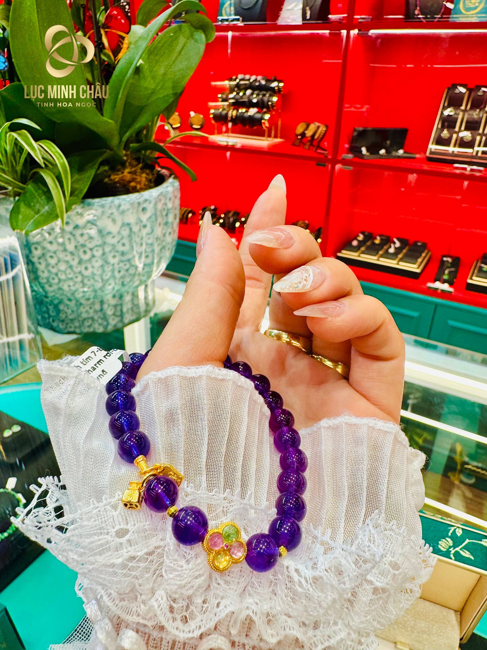 photo_2026-02-04_23-48-49